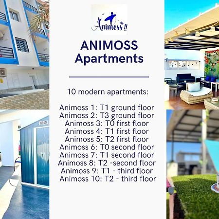 Animos! Apartments - 10 Modern Apartments Near The City & Beach, Perfect For Nomads, Travellers, Families, Watersports! Santa Maria Eksteriør bilde