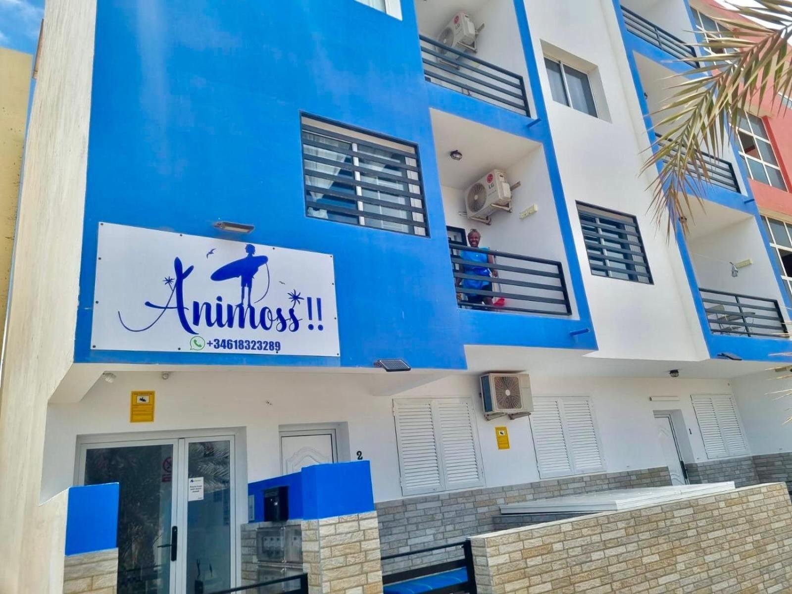 Animos! Apartments - 10 Modern Apartments Near The City & Beach, Perfect For Nomads, Travellers, Families, Watersports! Santa Maria Eksteriør bilde
