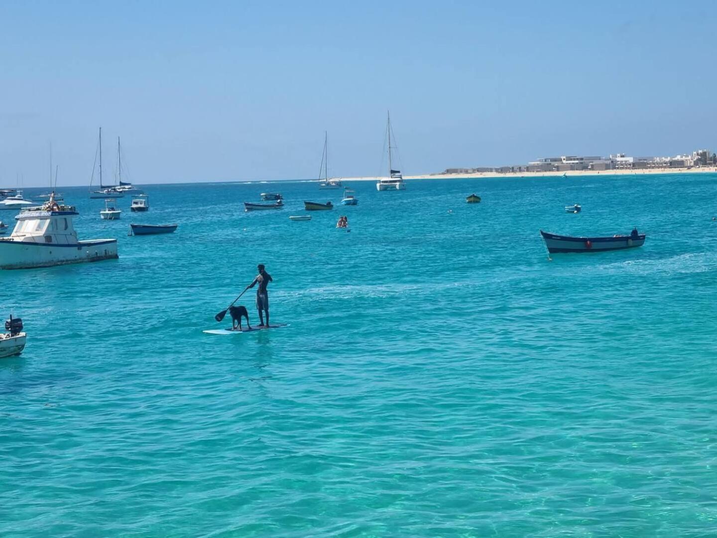 Animos! Apartments - 10 Modern Apartments Near The City & Beach, Perfect For Nomads, Travellers, Families, Watersports! Santa Maria Eksteriør bilde